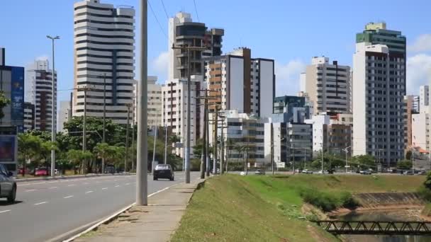 Salvador Bahia Brazil Januari 2021 Fordon Rörelse Gatan Stadsdelen Pituba — Stockvideo