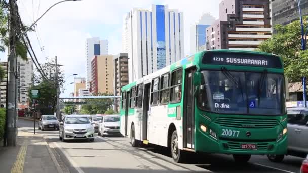 살바도르 지역의 거리에서 움직이는 차량들 2021 살바도르 — 비디오