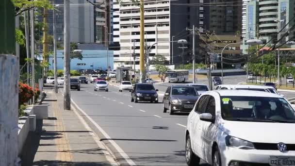 Salvador Bahia Brasil Janeiro 2021 Movimentando Veículos Rua Bairro Pituba — Vídeo de Stock