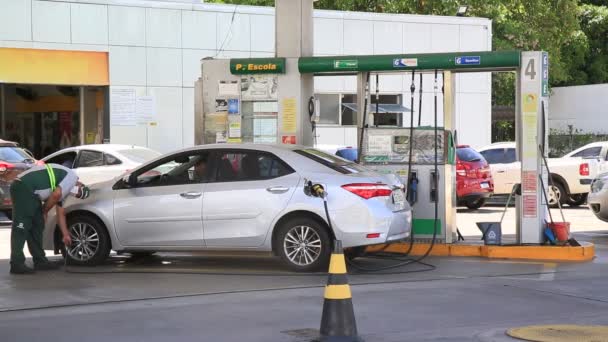 Salvador Bahia Brasile Gennaio 2021 Veduta Del Distributore Benzina Petrobras — Video Stock