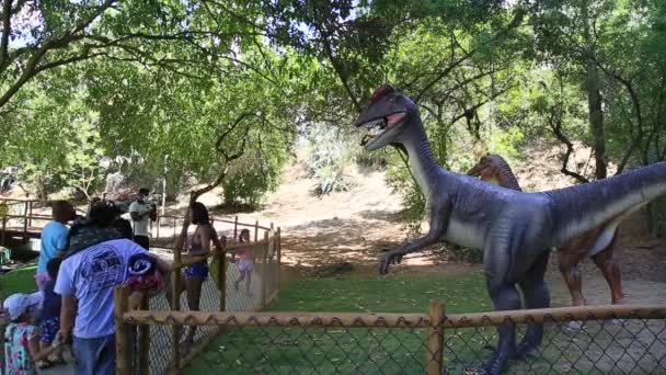 Salvador Bahia Brazil 2021 Január Lagoa Dos Dinossauros Park Látogatása — Stock videók
