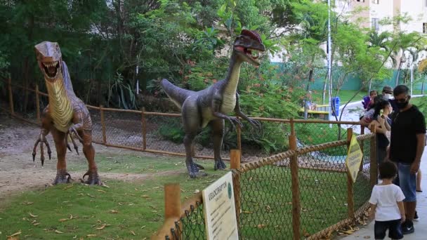 Salvador Bahia Brezilya Ocak 2021 Salvador Şehrindeki Lagoa Dos Dinossauros — Stok video