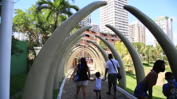 Salvador Bahia Brasil Enero 2021 Gente Vista Durante Una Visita — Vídeo de stock