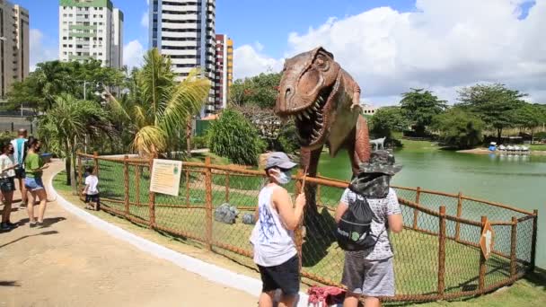Salvador Bahia Brazil 2021 Január Lagoa Dos Dinossauros Park Látogatása — Stock videók