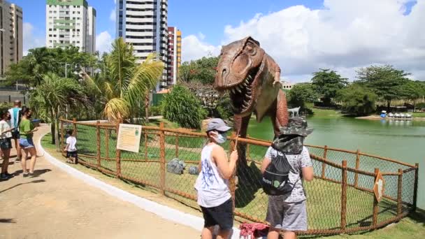 Salvador Bahia Brazylijski Styczeń 2021 Podczas Wizyty Parku Lagoa Dos — Wideo stockowe