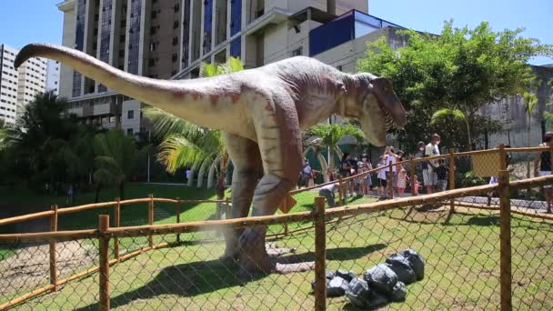 Salvador Bahia Brezilya Ocak 2021 Salvador Şehrindeki Lagoa Dos Dinossauros — Stok video