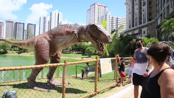 Salvador Bahia Brazil 2021 Január Lagoa Dos Dinossauros Park Látogatása — Stock videók