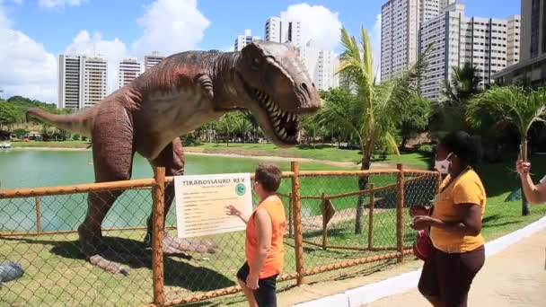 Salvador Bahia Brazil 2021 Január Lagoa Dos Dinossauros Park Látogatása — Stock videók