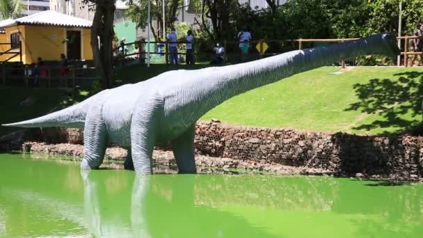 Salvador Bahia Brezilya Ocak 2021 Salvador Şehrindeki Lagoa Dos Dinossauros — Stok video