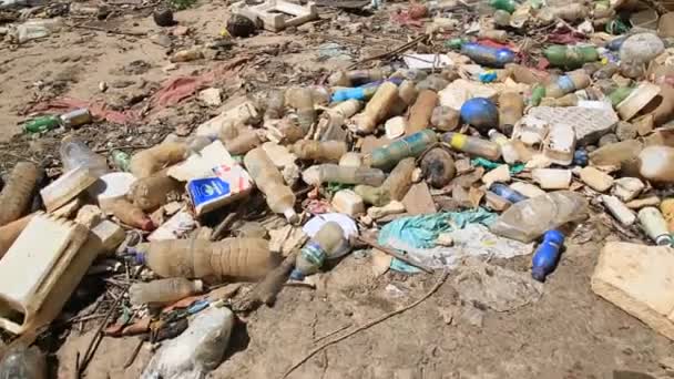 Salvador Bahia Brasilien Januar 2021 Müll Und Tierflaschen Werden Einem — Stockvideo