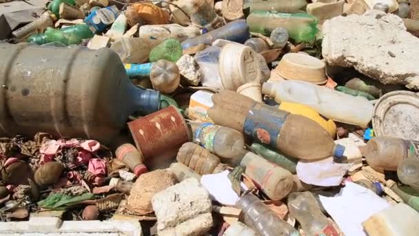 Salvador Bahia Brazil Ιανουαρίου 2021 Σκουπίδια Και Μπουκάλια Κατοικίδιων Ζώων — Αρχείο Βίντεο