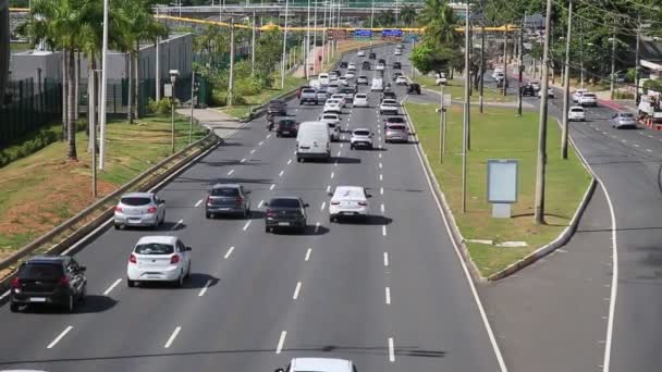 Salvador Bahia Brasil Enero 2021 Circulación Vehículos Tránsito Por Avenida — Vídeos de Stock