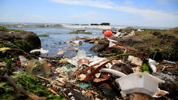 Salvador Bahia Brésil Janvier 2021 Pollution Ordures Sur Plage Costa — Photo