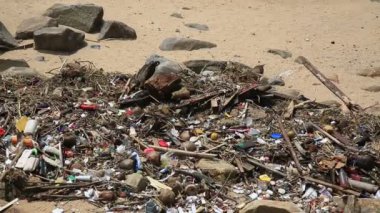 Salvador, Bahia, Brezilya - 11 Ocak 2021: Akbabalar ve yırtıcı kuşlar Salvador kentindeki Costa Azul plajında çöplerle birlikte görülürler..