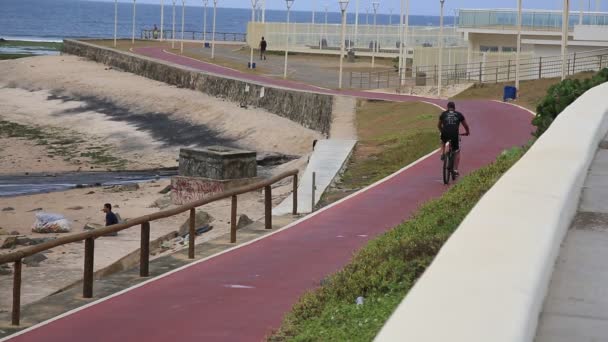 Salvador Bahia Brazil Ιανουαρίου 2021 Θέα Του Ποδηλατικού Μονοπατιού Στη — Αρχείο Βίντεο