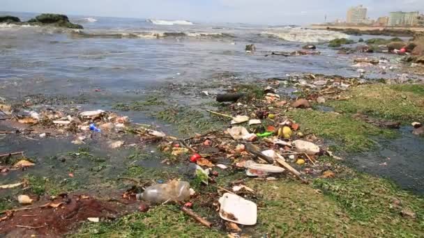 Salvador Bahia Brasil Enero 2021 Contaminación Basura Playa Costa Azul — Vídeo de stock