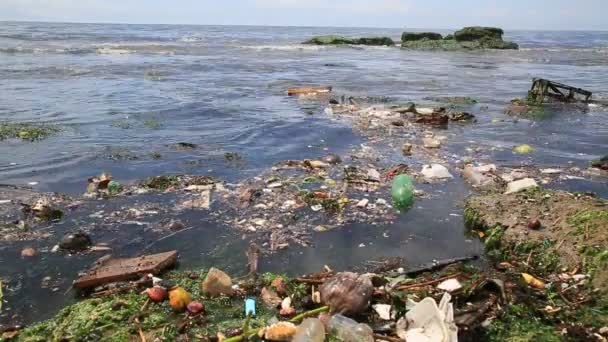 Salvador Bahia Brasil Enero 2021 Contaminación Basura Playa Costa Azul — Vídeo de stock
