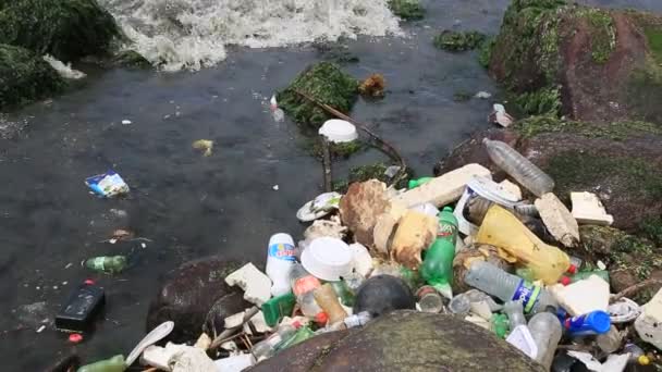 Salvador Bahia Brasil Enero 2021 Contaminación Basura Playa Costa Azul — Vídeo de stock