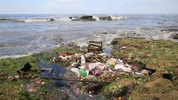 Salvador Bahia Brasil Janeiro 2021 Poluição Lixo Praia Costa Azul — Vídeo de Stock