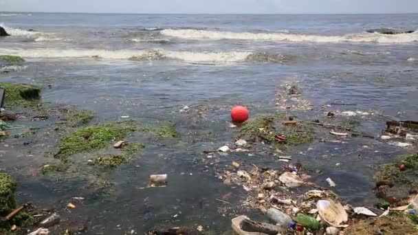 Salvador Bahia Brasil Janeiro 2021 Poluição Lixo Praia Costa Azul — Vídeo de Stock