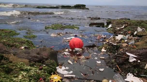 Salvador Bahia Brasil Enero 2021 Contaminación Basura Playa Costa Azul — Vídeos de Stock