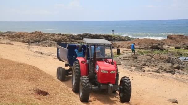 Salvador Bahia Brasil Janeiro 2021 Área Vista Areia Praia Costa — Vídeo de Stock