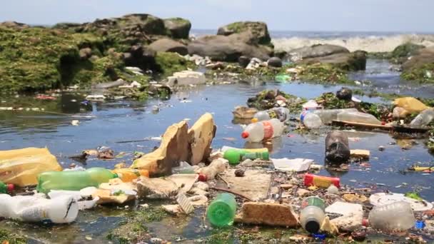 Salvador Bahia Brasil Enero 2021 Contaminación Basura Playa Costa Azul — Vídeo de stock