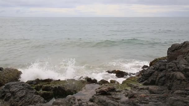 ブラジルのバヒア州サラドール2021年1月15日 サルヴァドール市のオンディーナ地区のブラカオビーチで波が岩に打ち寄せる — ストック動画
