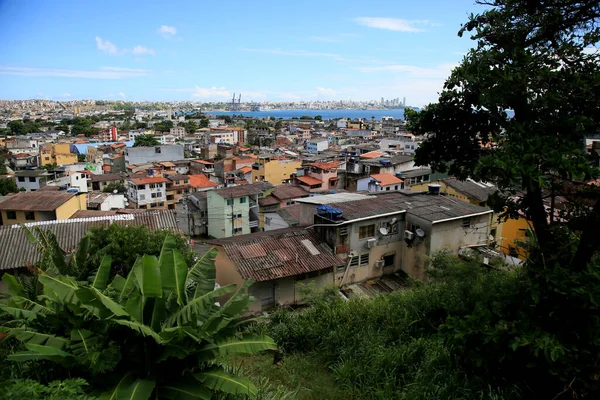 Salvador Bahia Brésil Janvier 2021 Maisons Viata Dans Quartier Boa — Photo