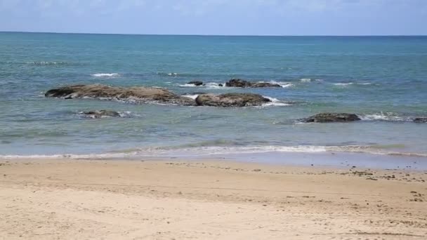 Salvador Bahia Brazil January 2021 Sombreros Seen Sand Itapua Beach — Stock Video