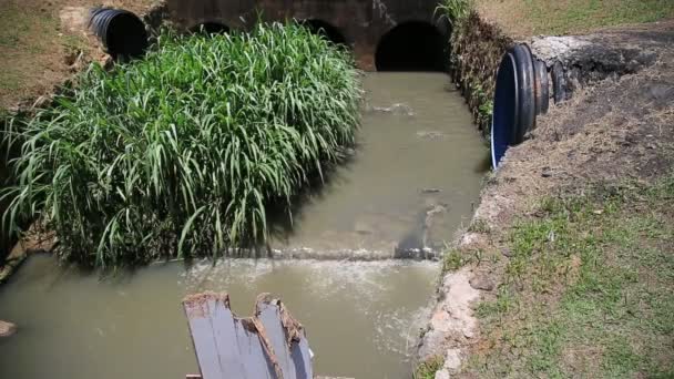 Salvador Bahia Brasilien Januar 2021 Offene Abwasserkanäle Rio Camurugipe Kanal — Stockvideo