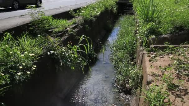 Salvador Bahia Brasil Enero 2021 Ven Aguas Residuales Abiertas Canal — Vídeo de stock