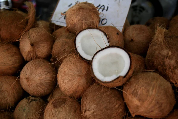 Salvador Bahia Brasilien Januar 2021 Kaputte Trockene Kokosnuss Wird Auf — Stockfoto
