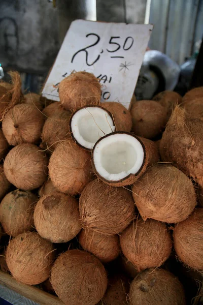 Salvador Bahia Brazil Januari 2021 Trasig Torr Kokosnöt Ses Till — Stockfoto