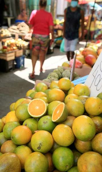 Salvador Bahia Brasilien Januar 2021 Orangefarbene Früchte Werden Auf Der — Stockfoto