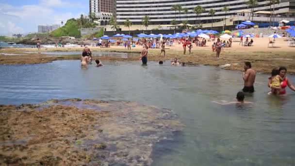 ブラジル バイーア州サラドール2021年1月31日 ベインヒスタスは サルバドール市のオンディーナビーチにある天然プールのある場所で見られます — ストック動画