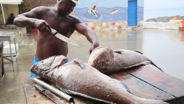 Salvador Bahia Brésil Février 2021 Pêcheur Tient Des Poissons Dans — Video