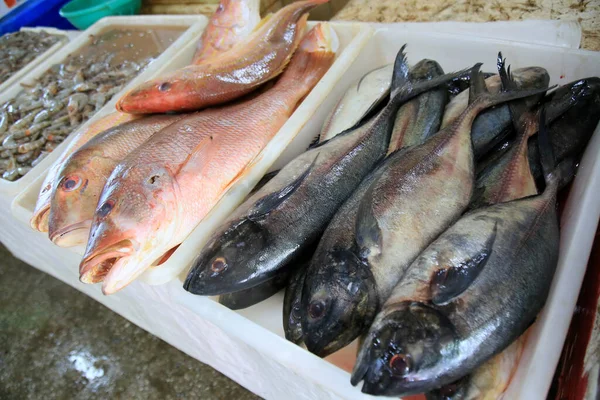 Salvador Bahia Brazylijski Luty 2021 Sprzedaż Ryb Targu Miejskim Itapua — Zdjęcie stockowe