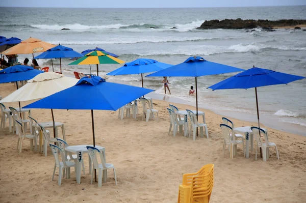 Salvador Bahia Brazil Fevereiro 2021 Зонтики Видны Районе Пляжа Амаралина — стоковое фото