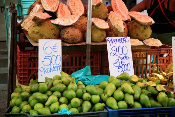 Salvador Bahia Brasile Gennaio 2021 Jackfruit Vendita Alla Fiera Giapponese — Foto Stock