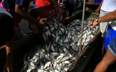 Salvador, Bahia, Brezilya - 12 Şubat 2021: Salvador 'daki Sao Joao do Cabrito bölgesinde Porto das Sardinhas bölgesinde balıkçılar ve müşterilerin hareketi. Balık ticareti sahada yapılıyor.