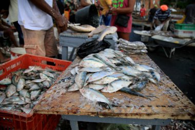 Salvador, Bahia, Brezilya - 12 Şubat 2021: Salvador 'daki Sao Joao do Cabrito bölgesinde Porto das Sardinhas bölgesinde balıkçılar ve müşterilerin hareketi. Balık ticareti sahada yapılıyor.