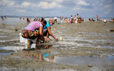 Salvador, Bahia, Brezilya - 12 Şubat 2021: Salvador 'daki Sao Joao do Cabrito bölgesinde denizden deniz ürünleri toplayan hanım evlatları görülüyor..