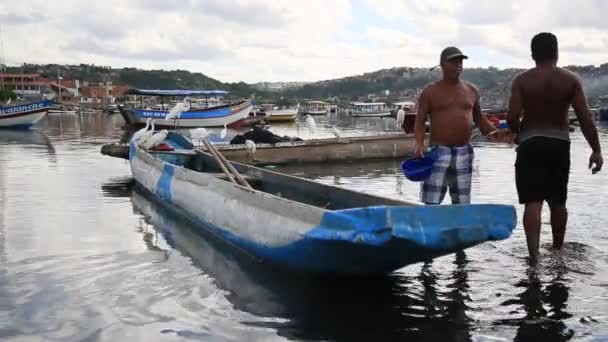 Salvador Bahia Brésil Février 2021 Poisson Sardine Voir Porto Das — Video