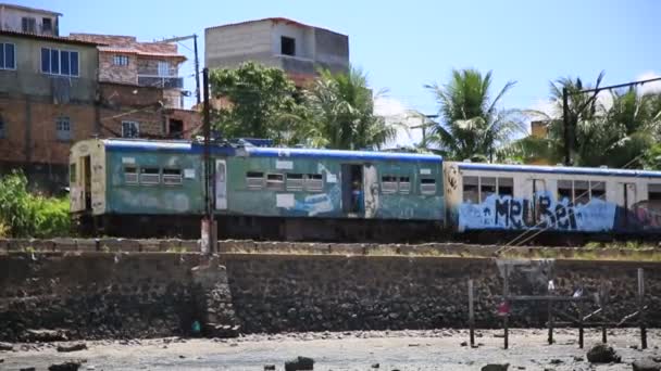 Salvador Bahia Brazil February 2021 Suburban Train Traveling Region Sao — Αρχείο Βίντεο