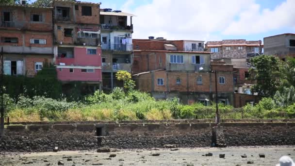 Salvador Bahia Brazil February 2021 Suburban Train Traveling Region Sao — Vídeo de Stock