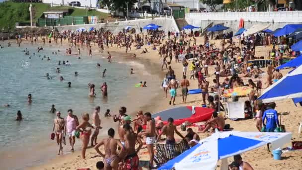 Salvador Bahia Brasil Febrero 2021 Gente Vista Durante Período Pandémico — Vídeos de Stock