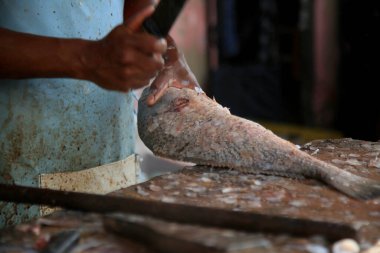 salvador, bahia, brazil - february 12, 2021: fish for sale in the region of Sao Joao do Cabrito, in Salvador. Fish and seafood are sold on site.