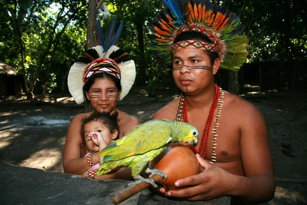 2008年8月4日ブラジル バイーア州セグロ 英語版 パタクソエチンのインディアンがバイーア州南部のポルト セグロ 英語版 のヤキエラ村に見られる — ストック写真