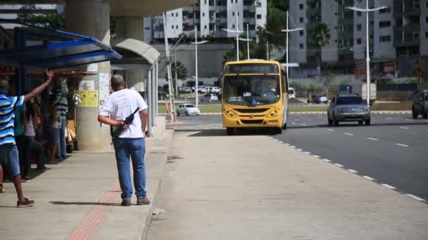 Salvador Bahia Brasil Maio 2021 Pessoas São Vistas Uma Parada — Vídeo de Stock